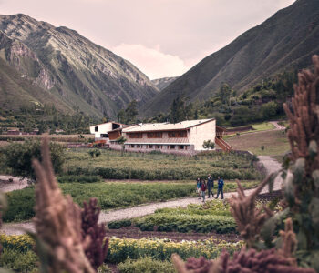 place-image